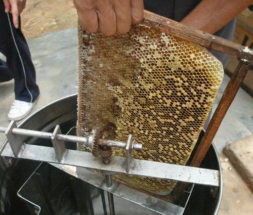 養蜂必備：采收蜂蜜工具詳解