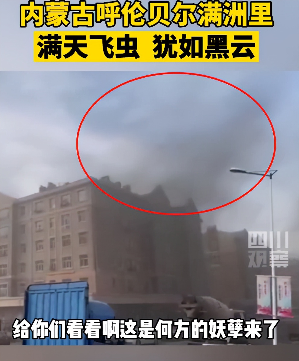 湖南沅江蜉蝣大爆發，內蒙古蚜蟲大爆發，是氣候大變的征兆嗎？