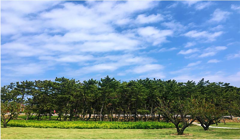 有篝火、有星空！山東私藏的這些自駕露營地景美人少，現在就出發！