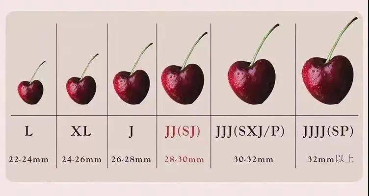 車厘子幾個j代表什么意思（車厘子選購干貨）