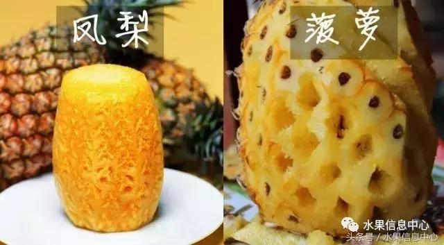 菠蘿的產(chǎn)地有哪些地方（菠蘿的產(chǎn)地和品種介紹）